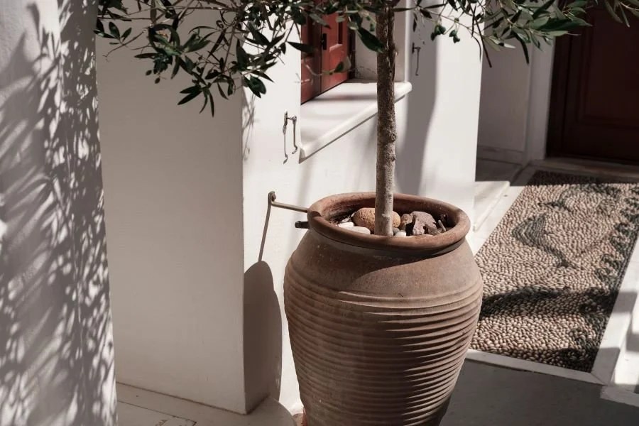 Water feature enhances serenity in Moroccan style garden ideas