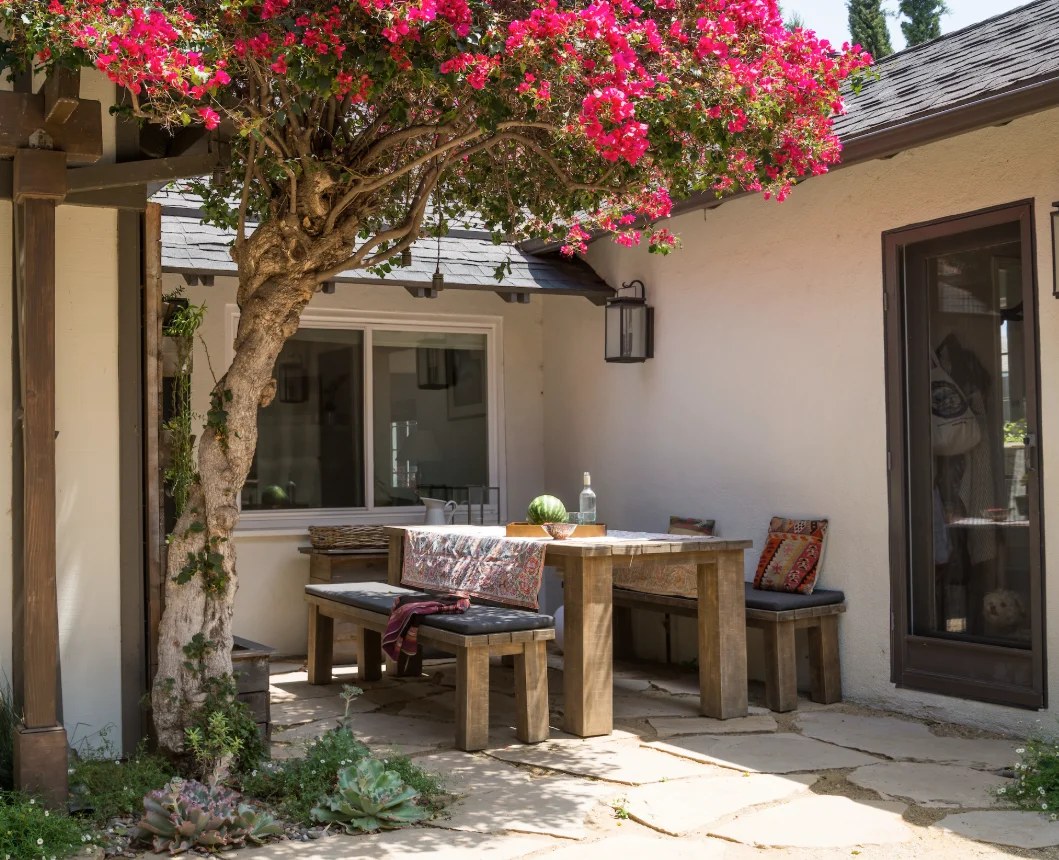 Tropical plants soaring high in majestic bohemian backyard ideas